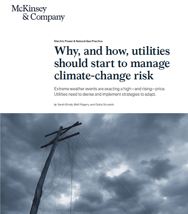 Extreme weather events are exacting a high—and rising—price. Utilities need to devise and implement strategies to adapt.