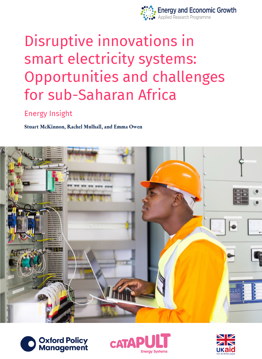 Disruptive innovations in smart electricity systems report