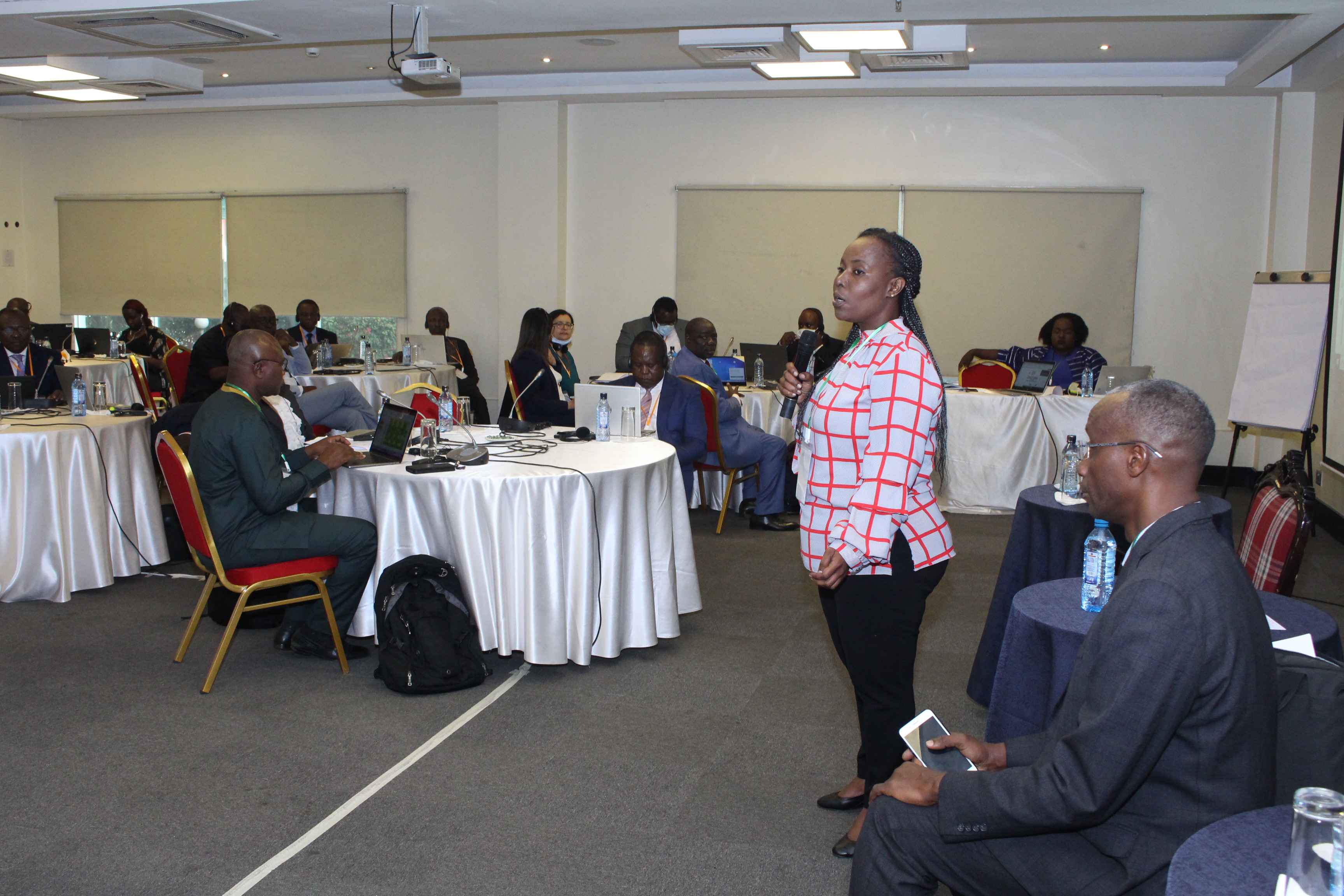 Capacity building