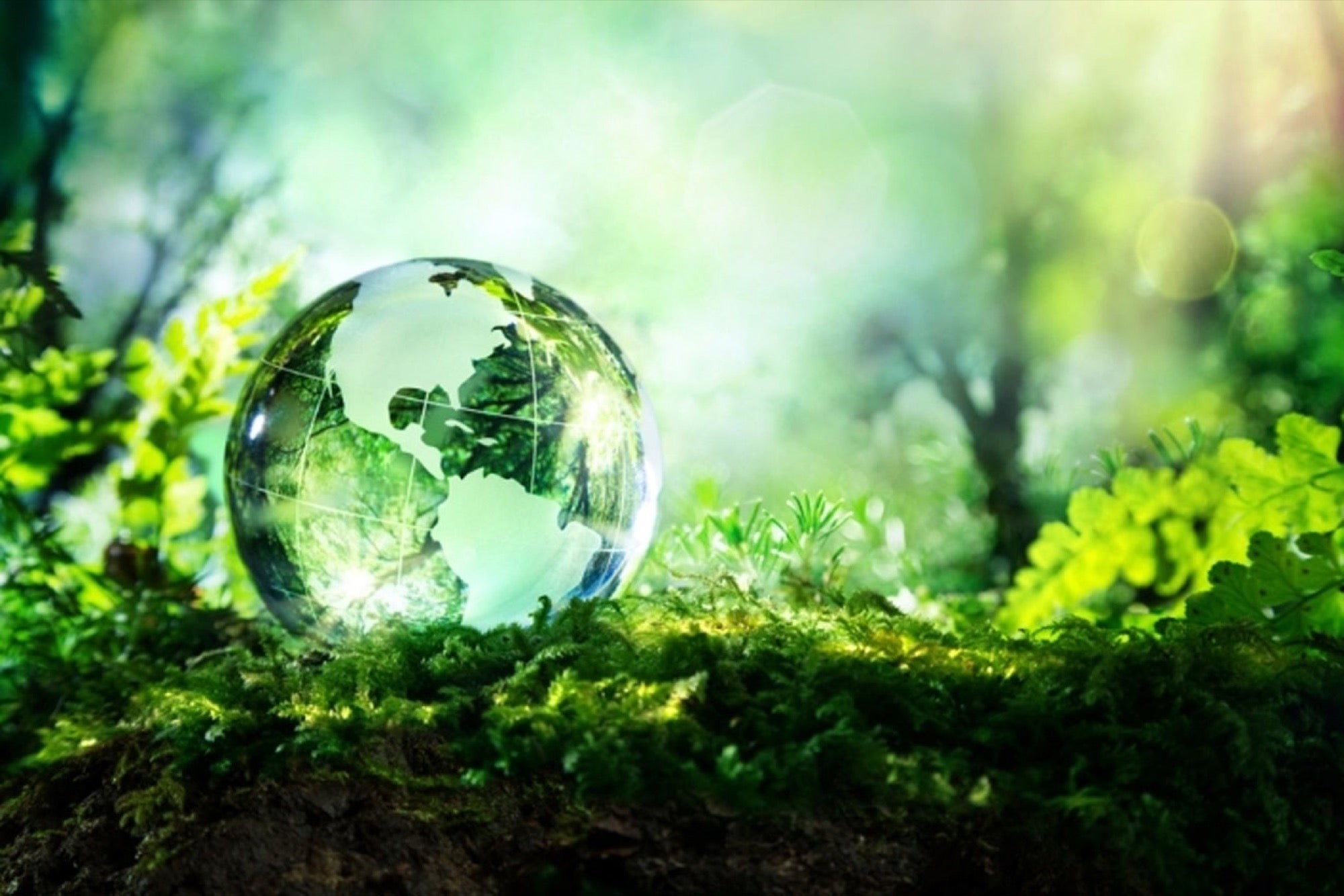 Green Growth