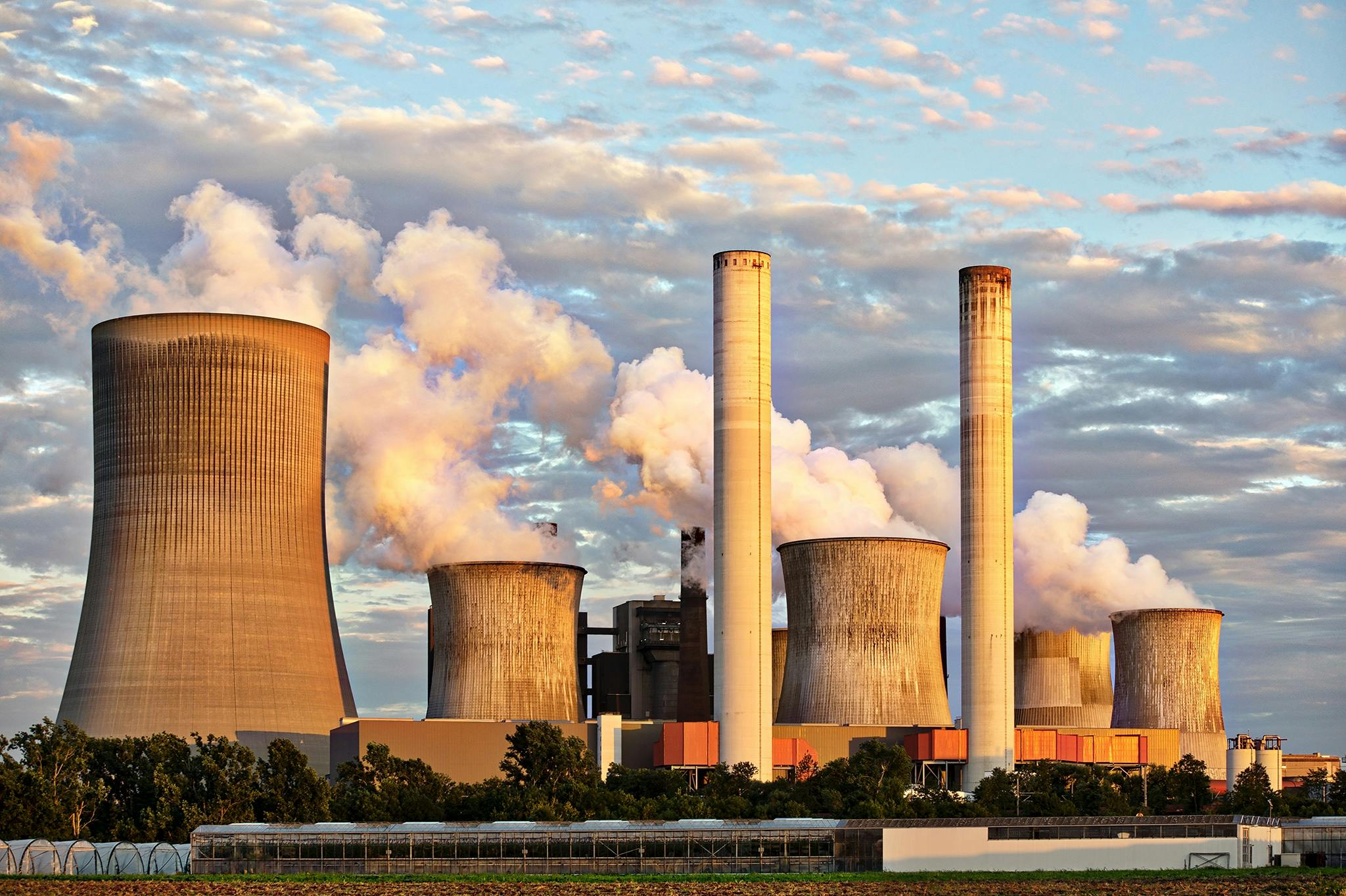 Fossil Fuel