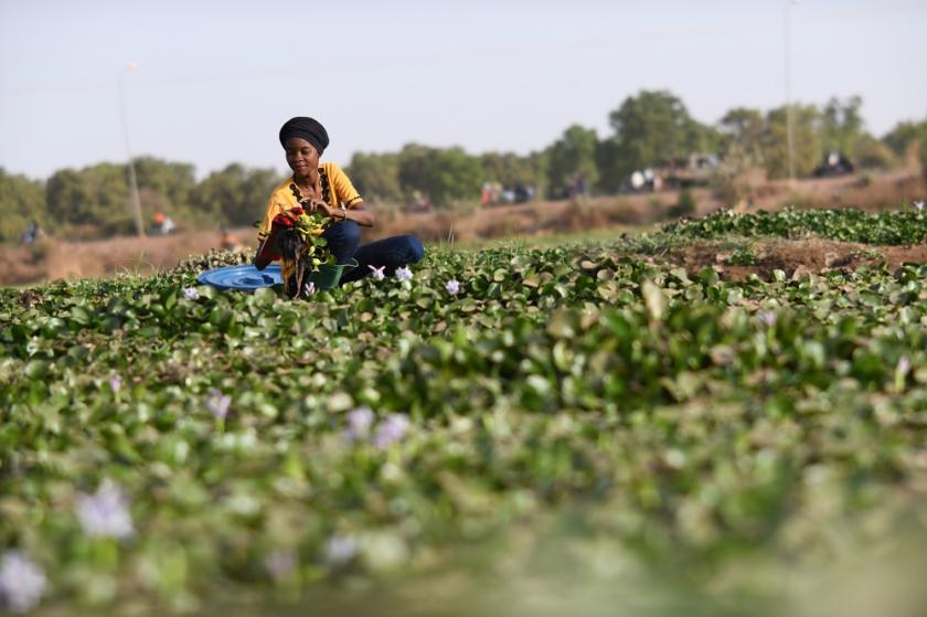 UNEP story on Burkina Faso