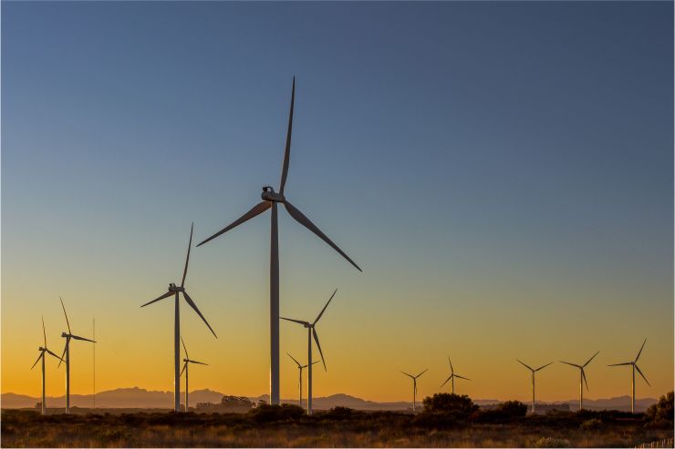 Wind farm in S. Africa